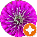 Dannii Love profile picture